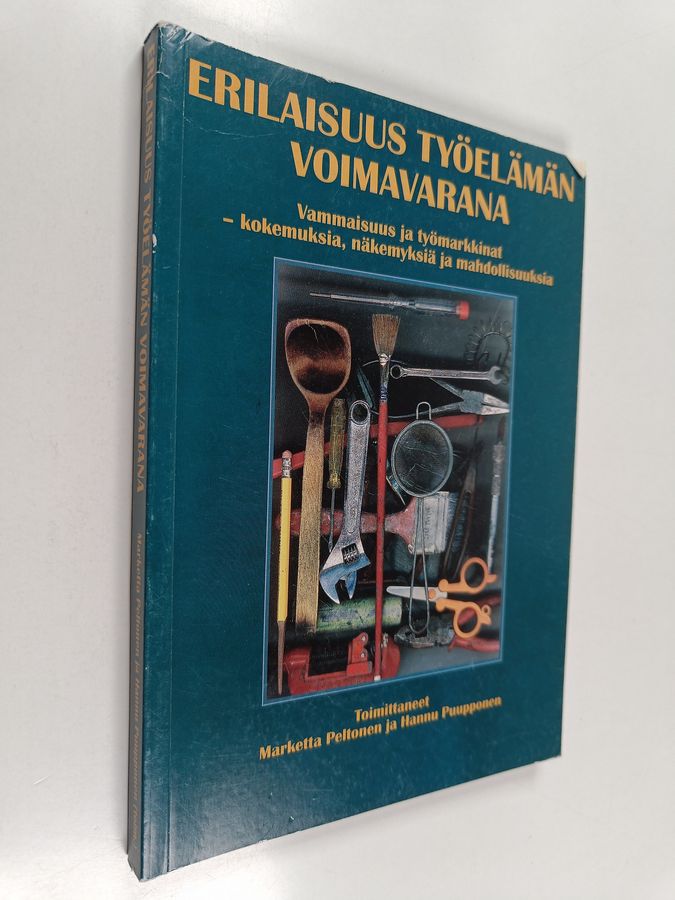 Erilaisuus työelämän voimavarana