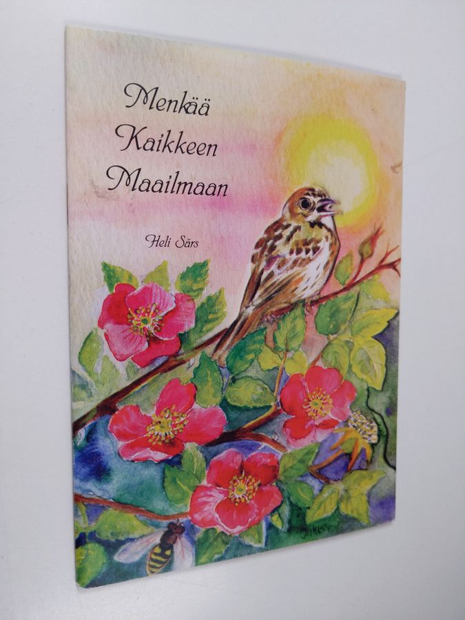 Menkää kaikkeen maailmaan