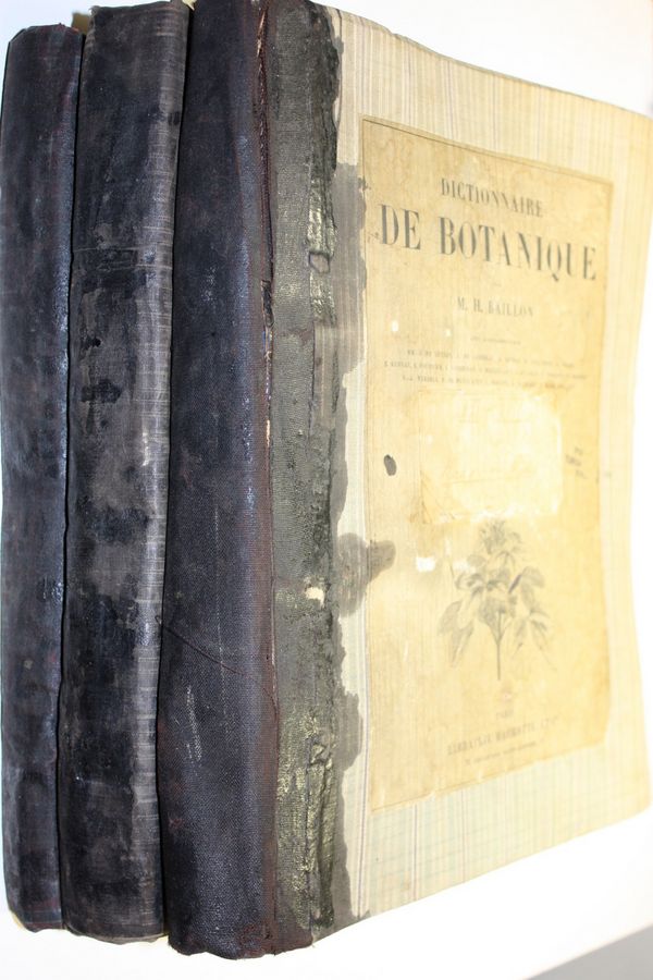 M. H. Baillon : Dictionnaire de Botanique H-Z (sarjasta puuttuu alkupään osat A-G)