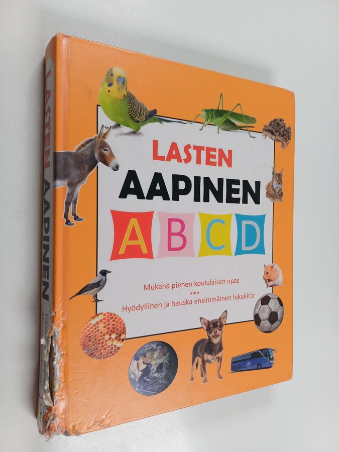 Lasten aapinen