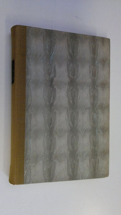 Esti Heiniö : Sataa ja paistaa : huhtikuinen sarjakuva