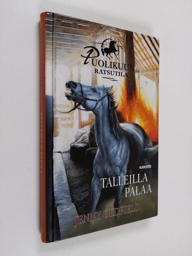 Jenny Oldfield : Talleilla palaa