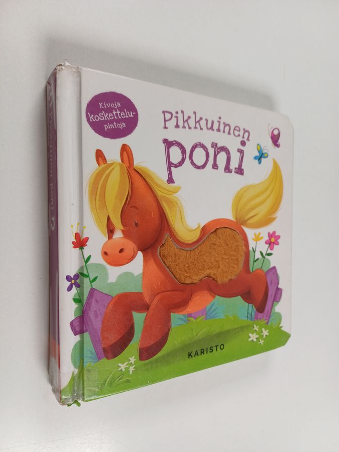 Pikkuinen poni