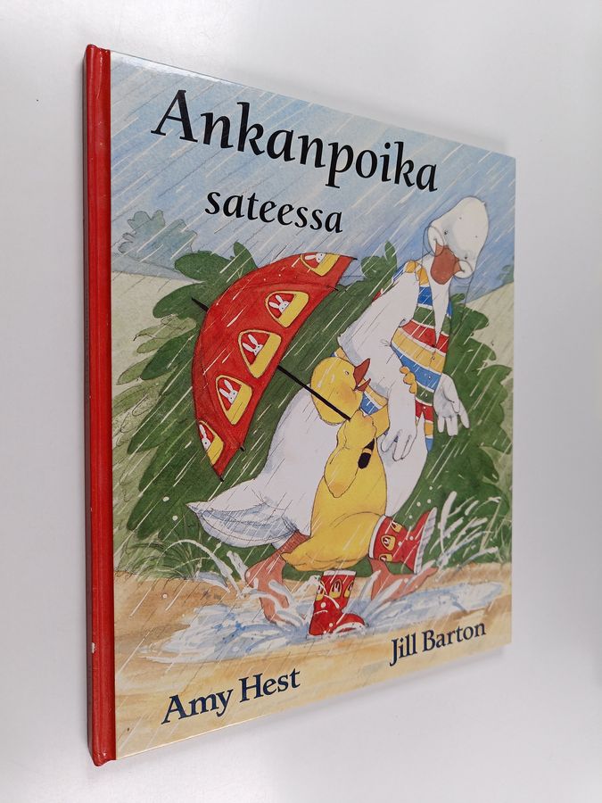Ankanpoika sateessa