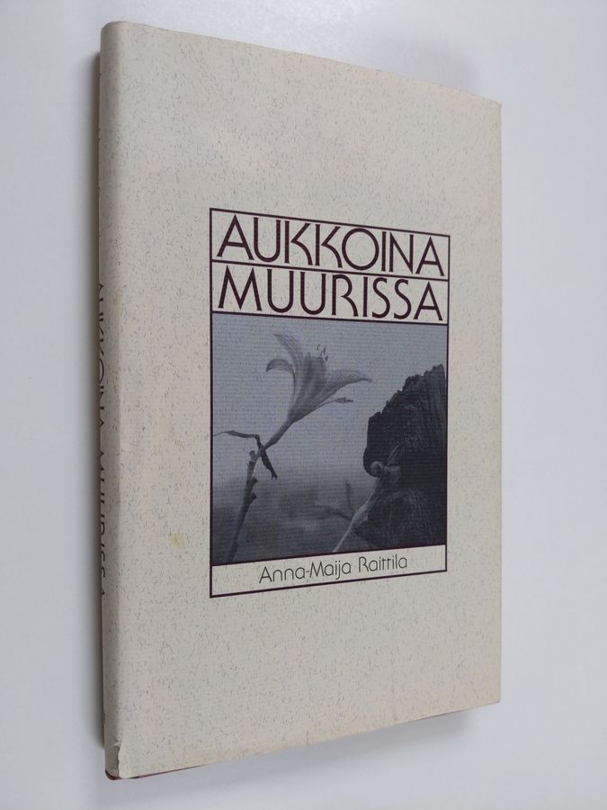 Aukkoina muurissa