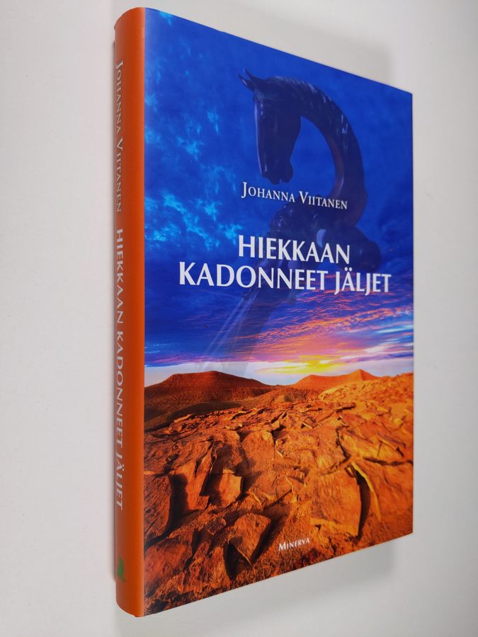 Johanna Viitanen : Hiekkaan kadonneet jäljet