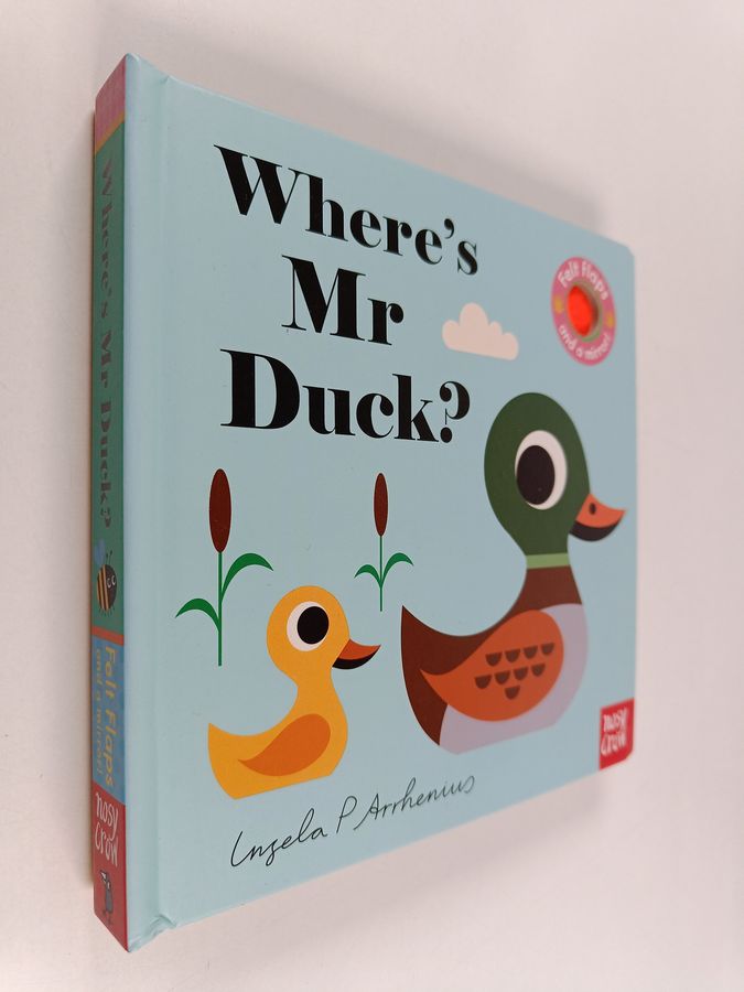 Where's Mr Duck?