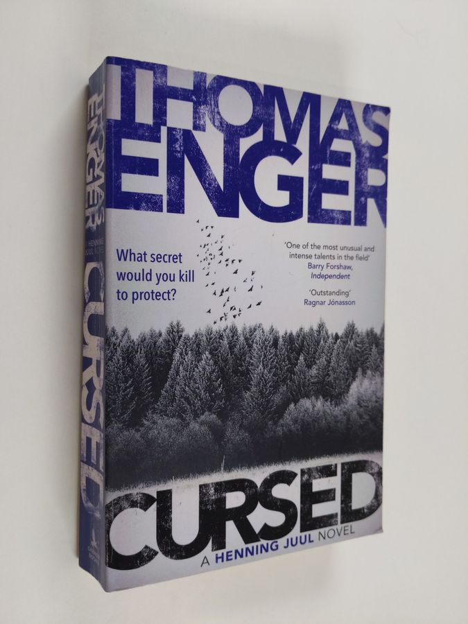 a crime novel - Henning Juul novel
