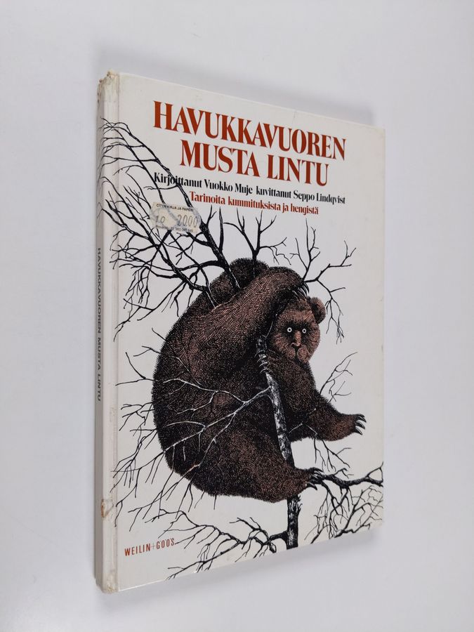Havukkavuoren musta lintu