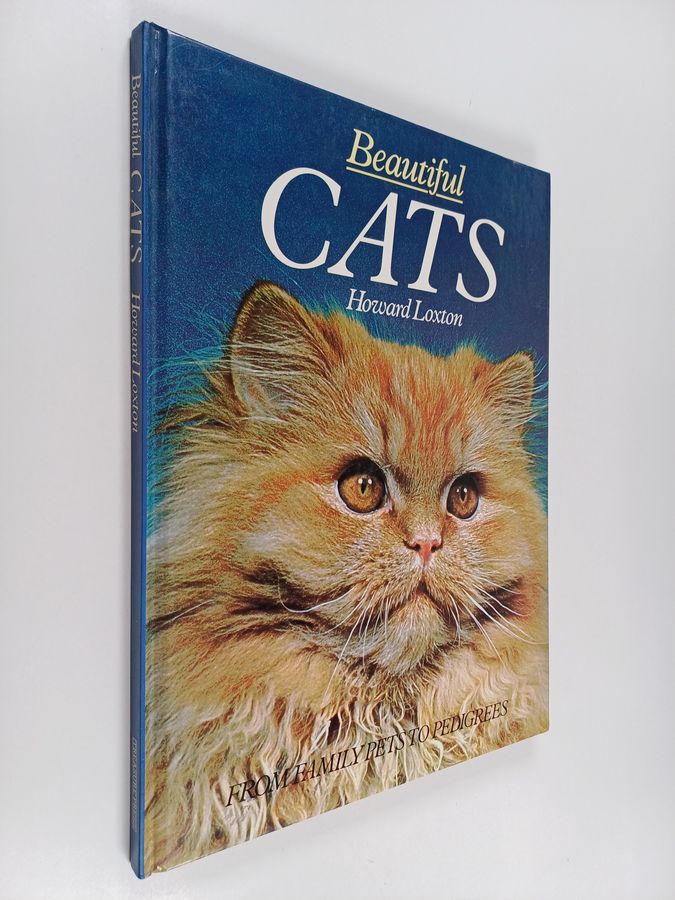Beautiful cats