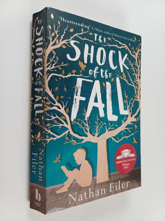 The shock of the fall