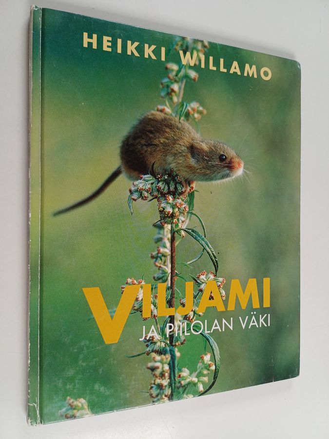 Viljami ja Piilolan väki