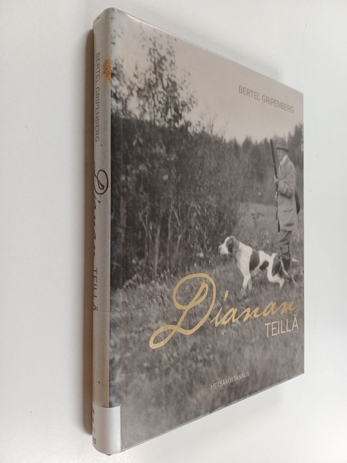 Dianan teillä