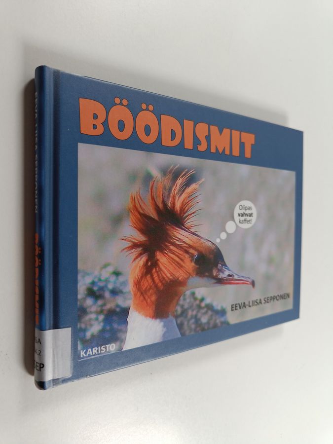 Böödismit