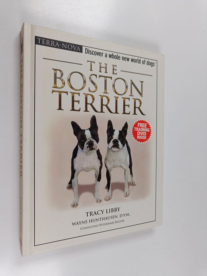 The boston terrier