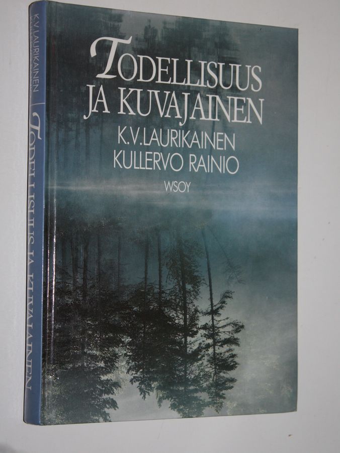 Todellisuus ja kuvajainen