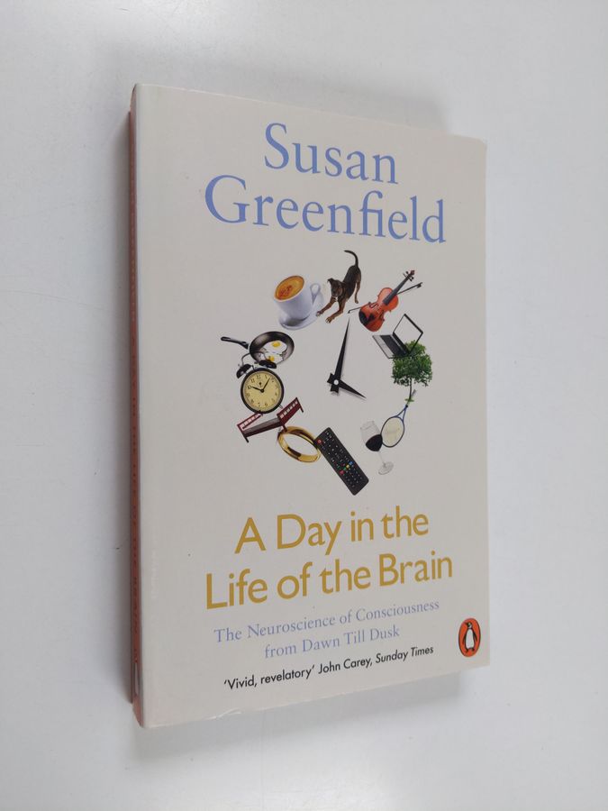 the neuroscience of consciousness from dawn till dusk