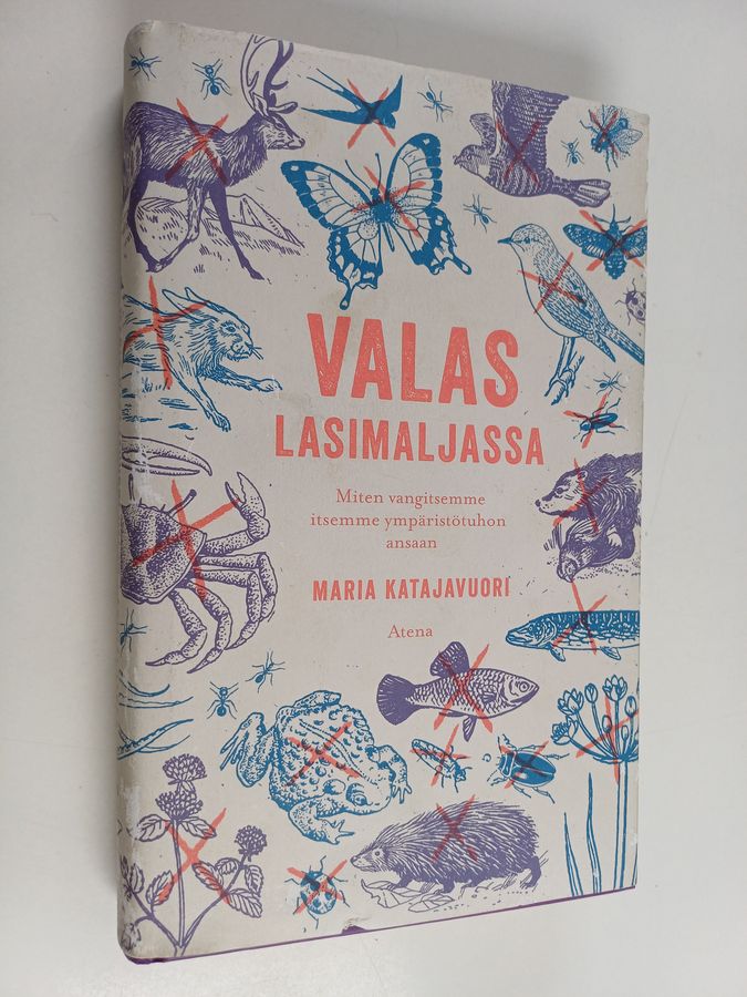Valas lasimaljassa