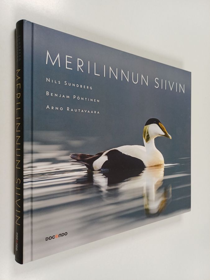 Merilinnun siivin