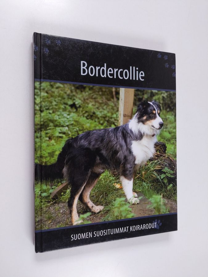 Bordercollie