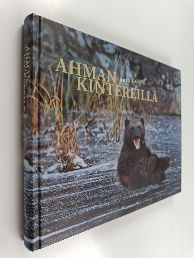 Ahman kintereillä