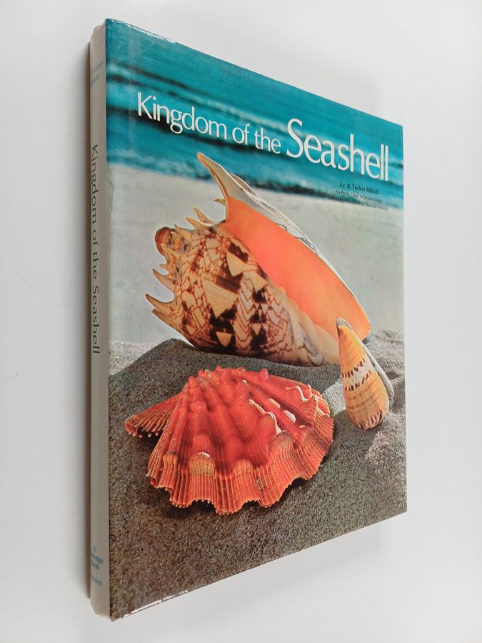 Kingdom of the Seashell