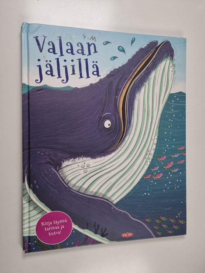 Camilla De la Bedoyere : Valaan jäljillä