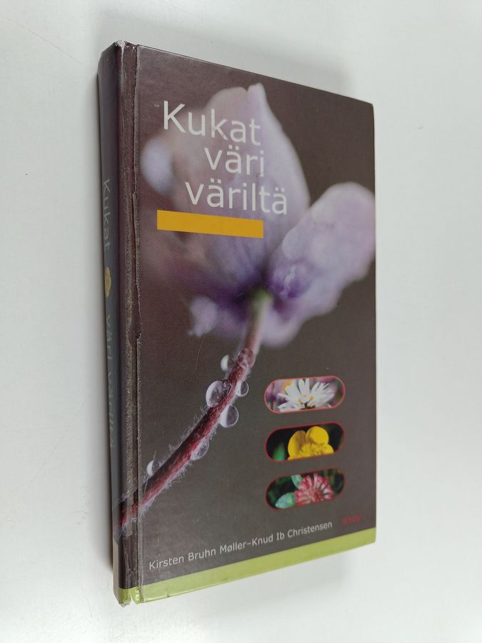 Kukat väri väriltä