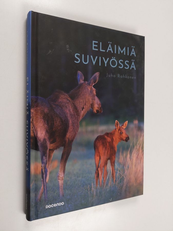 Eläimiä suviyössä