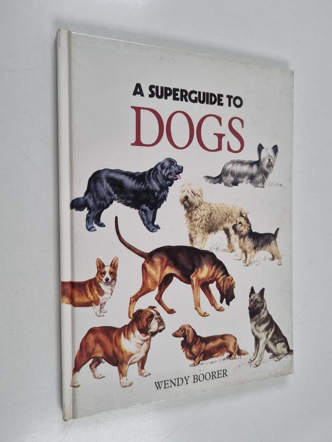 A Superguide to Dogs