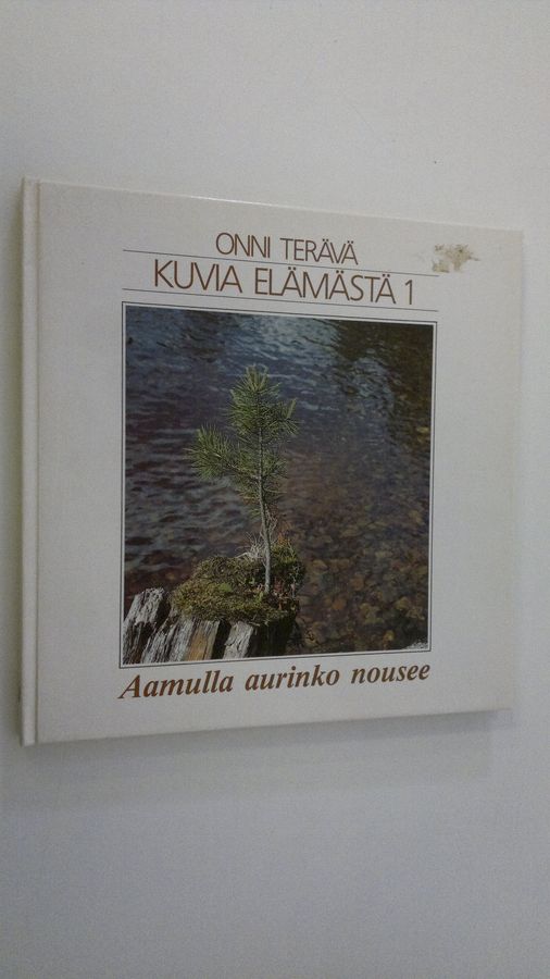 Onni Terävä : Kuvia elämästä 1, Aamulla aurinko nousee