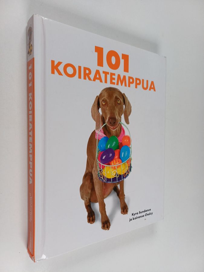 101 koiratemppua