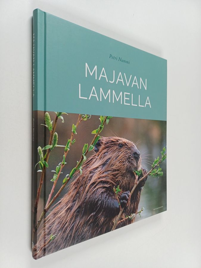 Petri Nummi : Majavan lammella