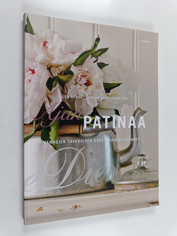 Ajan patinaa