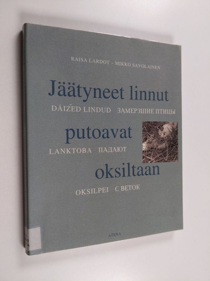Jäätyneet linnut putoavat oksiltaan =