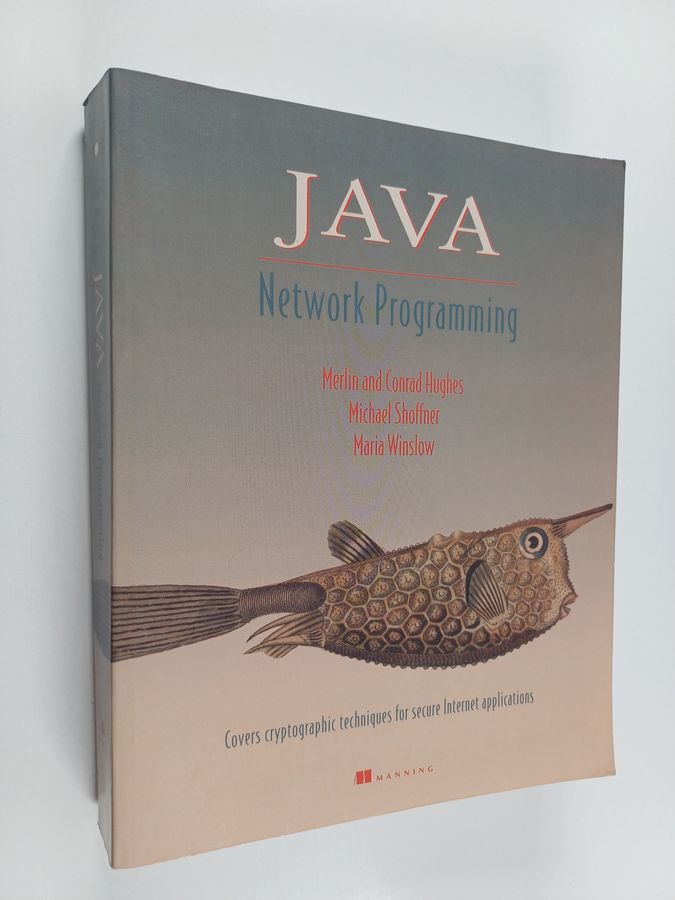 Java Network Programming