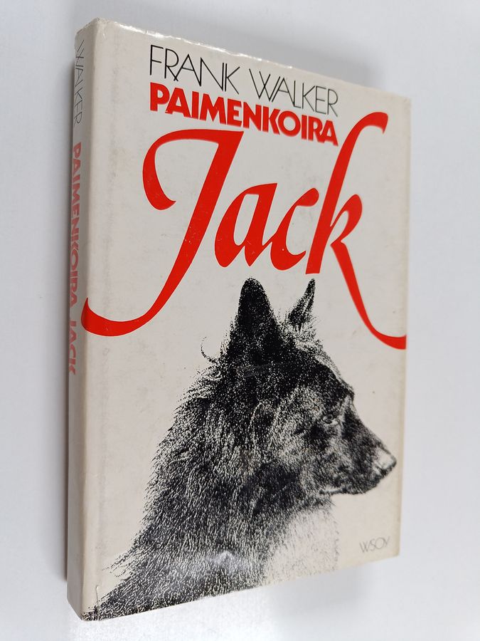 Paimenkoira Jack