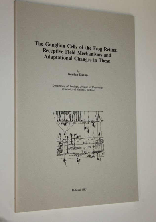 The ganglion cells of the frog retina