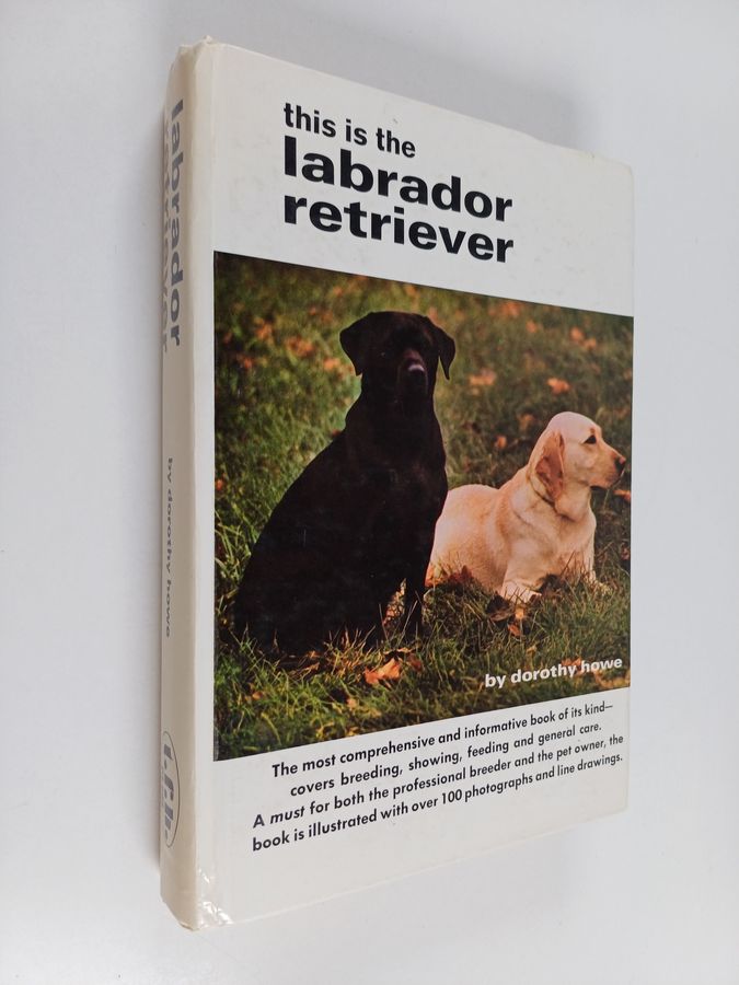 This Is the Labrador Retriever