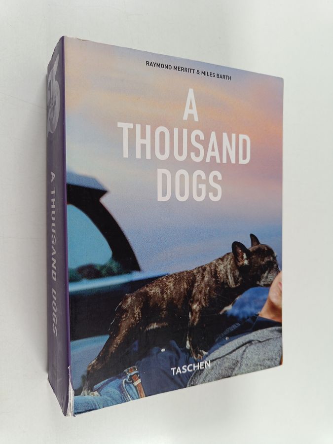 A thousand dogs