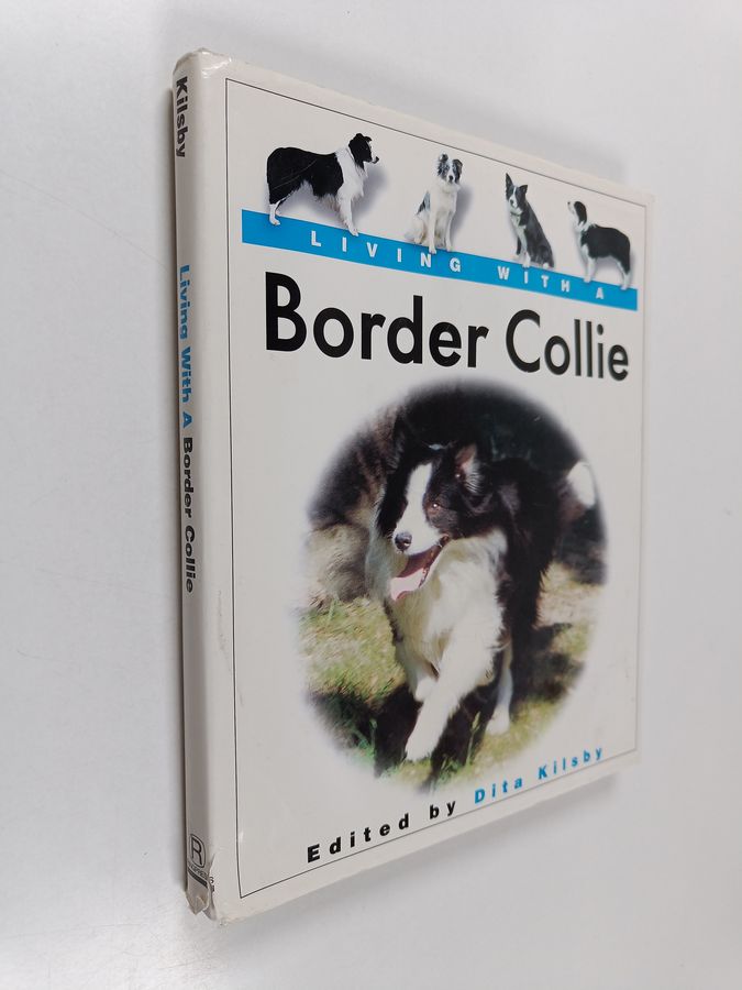 Living with a border collie