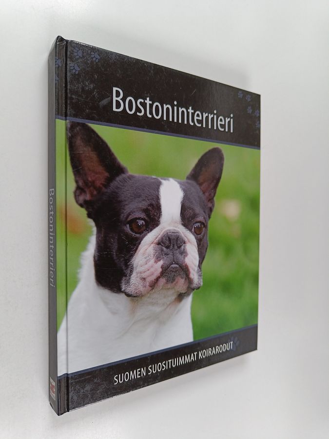 Bostoninterrieri