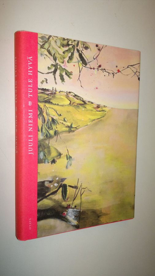 Juuli Niemi : Tule hyvä : novelleja