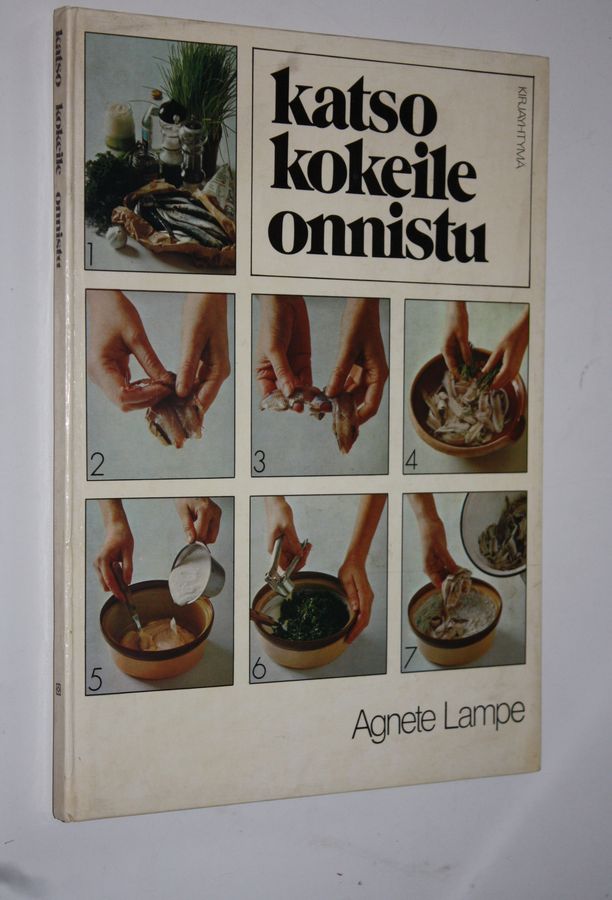 Katso, kokeile, onnistu
