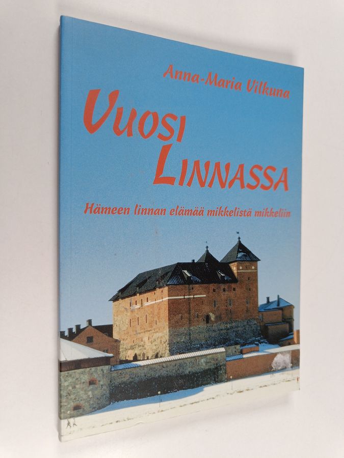 Vuosi linnassa
