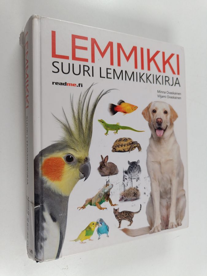 Lemmikki