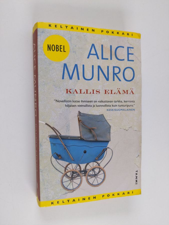 Alice Munro : Kallis elämä : kertomuksia