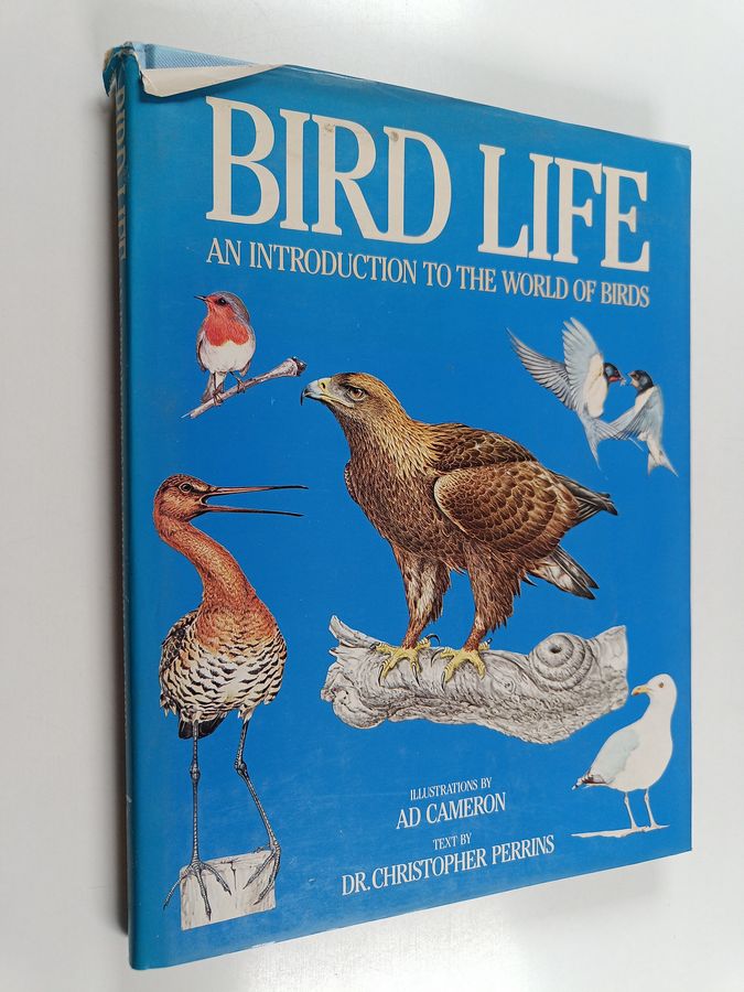 Bird Life - An Introduction to the World of Birds