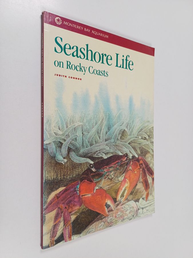 Seashore Life on Rocky Coasts