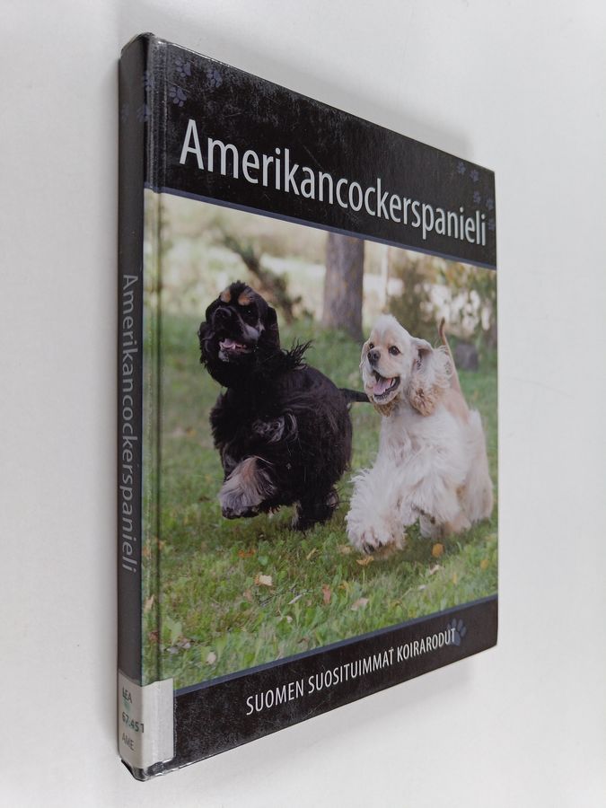 Amerikancockerspanieli